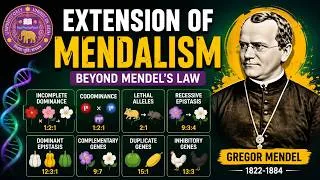 Thumbnail: Extension of Mendelism | Incomplete Dominance, Codominance, Epistasis & Gene Interaction | Genetics