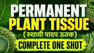 Thumbnail: Permanent Plant Tissue | Simple & Complex Permanent Tissue | Plant Anatomy