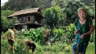Thumbnail: Village Life in the Mountains | Unseen Rural Nepal & Hardworking People