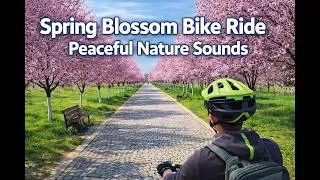 Thumbnail: Peaceful Bike Ride in Plovdiv | Maritsa River & Lauta Park (4K POV)