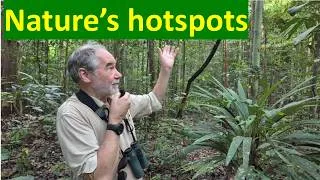 Thumbnail: Why are the tropics so biologically and culturally diverse?