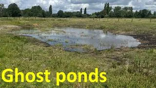 Thumbnail: Can We Bring Ancient Ecosystems Back to Life?