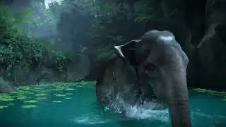 Thumbnail: Elephant Swim