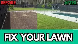 Thumbnail: Your Lawn is Too Thick and Spongy? Here's What to Do
