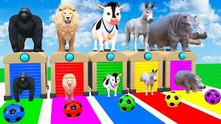 Thumbnail: Long Slide Game With Gorilla Lion Cow Donkey Hippopotamus 3d Animal Game - Funny 3d Animals