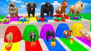 Thumbnail: Long Slide Game With Tiger Buffalo Gorilla Cow Lion Dinosaur 3d Animal Game - Funny 3d Animals