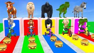 Thumbnail: Long Slide Game With Cow Lion Gorrilla Dinosaur Zebra 3d Animal Game - Funny 3d Animals