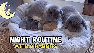Thumbnail: THIS IS OUR LIFE NOW