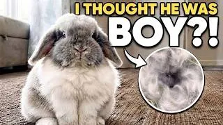 Thumbnail: I GOT EVERYTHING WRONG