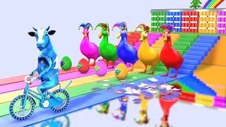 Thumbnail: 5 Giant Duck Cartoon With Cow Guess The Right Door Challenge Cycle Funny Game