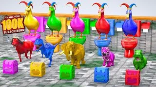 Thumbnail: 5 Giant Duck Cartoon With Paint Wild Animals Choose The Right BOX CHALLENGE Skibidi Toilet