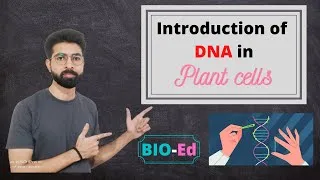 Thumbnail: Introduction of DNA in plant Cells || Recombinant DNA Technology ||