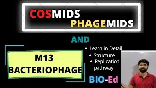 Thumbnail: Cosmids, Phagemids and M13 Bacteriophage | Recombinant DNA Technology || Bio-Ed