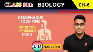 Thumbnail: Oesophagus (Food Pipe) Explained | Nutrition in Humans | Class 10 Biology – Life Processes