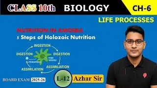 Thumbnail: Nutrition in Amoeba 🦠 | Holozoic Nutrition | Class 10 Life Processes | CBSE 2026 | Azhar Sir