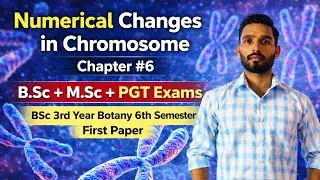 Thumbnail: Numerical changes in chromosomes ( Polyploidy ) || BSc 3rd year Botany 6th Semester 1st Semester ￼
