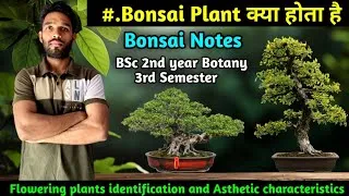 Thumbnail: What is Bonsai | BSc 2nd year Botany 3rd Sem |Flowering Plant Identification and Aesthetic character