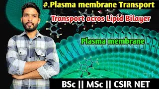 Thumbnail: Plasma Membrane Transportation Part-1|| Membrane Transport || BSc || MSc || CSIR NET || NEET || PGT