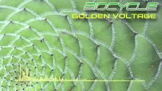 Thumbnail: Biocycle - Golden Voltage (Original Mix)