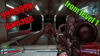 Thumbnail: Infinite damage forever (Borderlands 2 tips tricks and glitches)