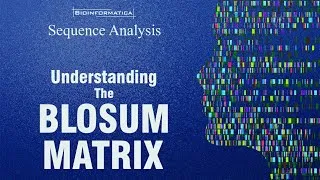 Thumbnail: BLOSUM matrix