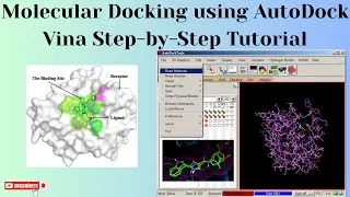 Thumbnail: Molecular Docking with AutoDock Vina Step-by-Step Tutorial| Part 1 #drugdiscovery #docking #skills