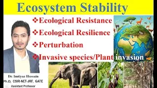 Thumbnail: Ecosystem Stability Ecological Resistance Ecological Resilience Perturbation plant invasion
