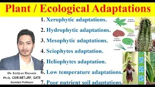 Thumbnail: Plant / Ecological adaptations #ecology  xerophytic adaptations, hydrophytic adaptations, meosphytic