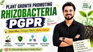 Thumbnail: PGPR | Plant Growth Promoting Rhizobacteria | BSc | MSc