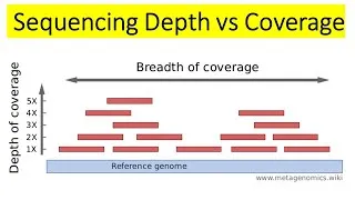 Thumbnail: Sequencing Depth vs Coverage | Differences between Sequencing Depth and Coverage |