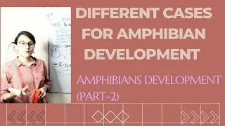 Thumbnail: Different Cases or Experiments during Amphibian Developement || Amphibian Developement (Part- 2)