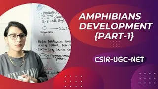 Thumbnail: Amphibian Development || Embryonic Development in Amphibians {Part-1}