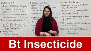 Thumbnail: How Bt Insectide Works