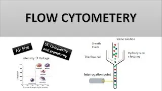 Thumbnail: The Principle of Flow Cytometry and FACS (1- Flow Cytometry)