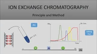 Thumbnail: The Principle Of Ion Exchange Chromatography, A Full Explanation