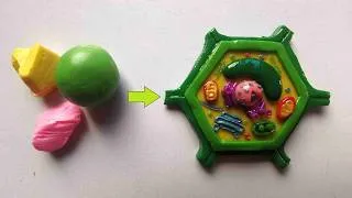 Thumbnail: Polymer CLay Plant Cell Model 