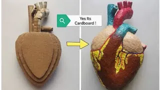 Thumbnail: Cardboard Human Heart Model DIY