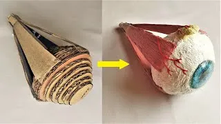 Thumbnail: Cardboard Eye Ball Model DIY