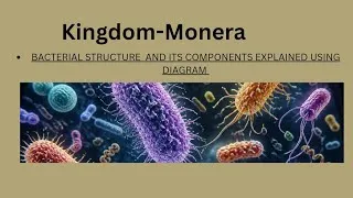 Thumbnail: Bacterial structure and its components || Kingdom- Monera | 11th Biology 