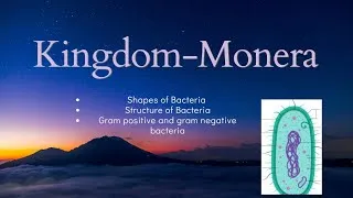 Thumbnail: Gram positive and Gram negative Bacteria | Bacterial shapes explained | 11th Biology 