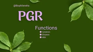 Thumbnail: Plant growth hormone functions in just one video 🤯🤫don't miss || 11thbiology | Neet Biology topic