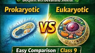 Thumbnail: Prokaryotic vs Eukaryotic Cell | Complete Comparison Explained | Class 9 Biology