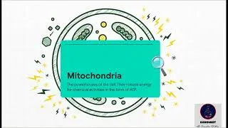 Thumbnail: Class 9 Science | Chapter-The Cell(Quick Summary)
