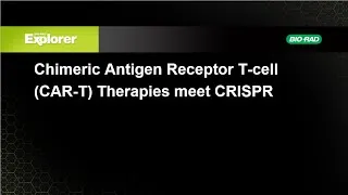 Thumbnail: Webinar-CRISPR Mediated CAR T-cell Therapy