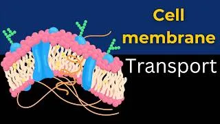 Thumbnail: Cell membrane transport || Plasma membrane functions | Transport across cell membrane | biology
