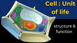 Thumbnail: What is a cell: a complete guide | Cell structure & function | cell structure | Cell function