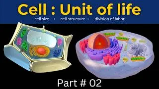 Thumbnail: Cell Structure & Functions Explained | what are cells? | Why cells are small? | Class 9 Biology