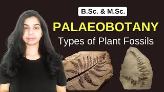 Thumbnail: Palaeobotany || Types of Plant Fossils || B.Sc. & M.Sc.