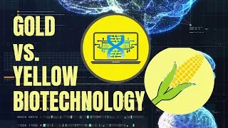 Thumbnail: Gold Biotechnology vs.  Yellow Biotechnology