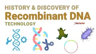 Thumbnail: History and Discovery of Recombinant DNA technology